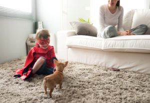 carpet cleaning pet odors denver co